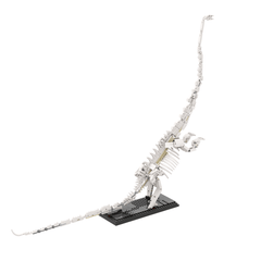 713PCS 21320: Barosaurus Skeleton MOC Building Block Bricks |MocPixel Lego alternative store MOC-154998
