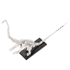 713PCS 21320: Barosaurus Skeleton MOC Building Block Bricks |MocPixel Lego alternative store MOC-154998

