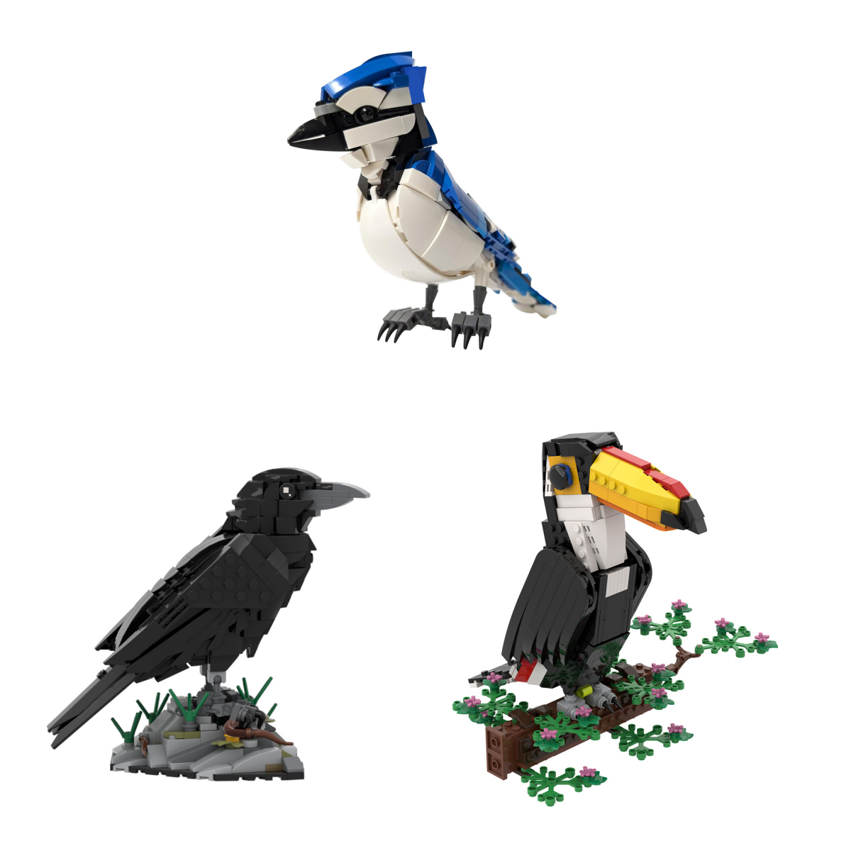Birds Bluejay/ Toco Toucan/ Raven MOC Building Block Bricks |MocPixel